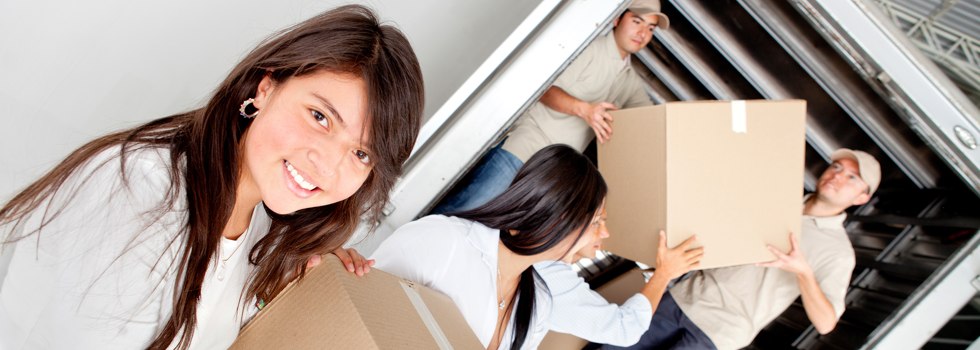 Professional Removalists Farleigh